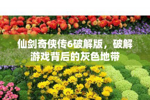 破解游戏背后的灰色地带图片