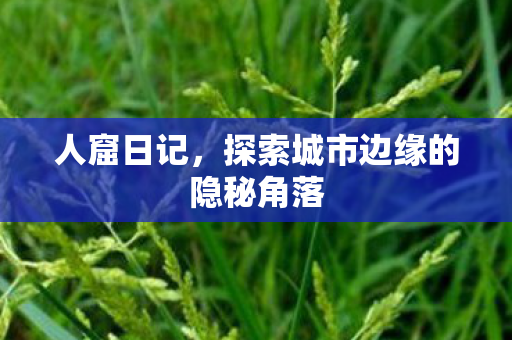 人窟日记，探索城市边缘的隐秘角落