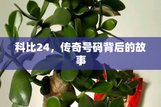 科比24，传奇号码背后的故事