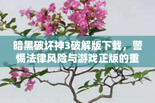 警惕法律风险与游戏正版的重要性图片