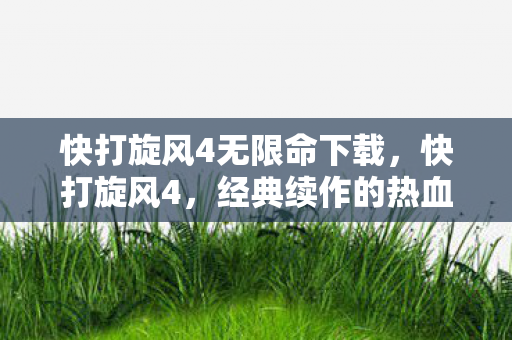 快打旋风4无限命下载图片