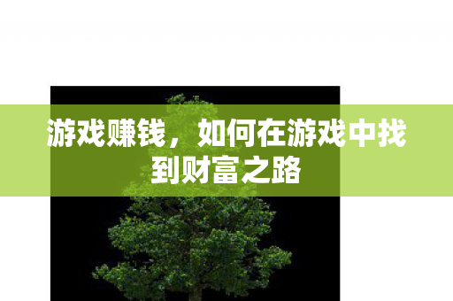 如何在游戏中找到财富之路图片