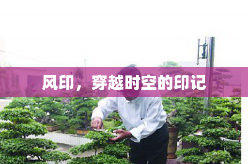 穿越时空的印记图片