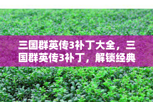 解锁经典游戏的隐藏魅力图片