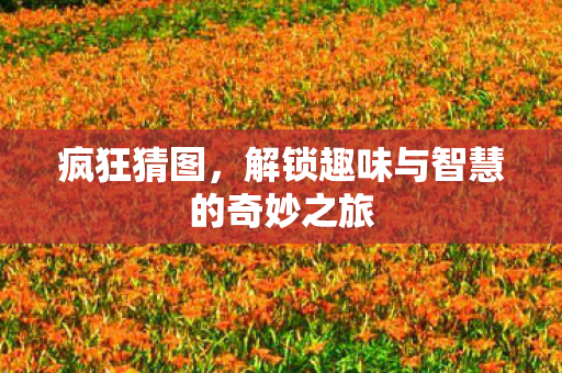 解锁趣味与智慧的奇妙之旅图片