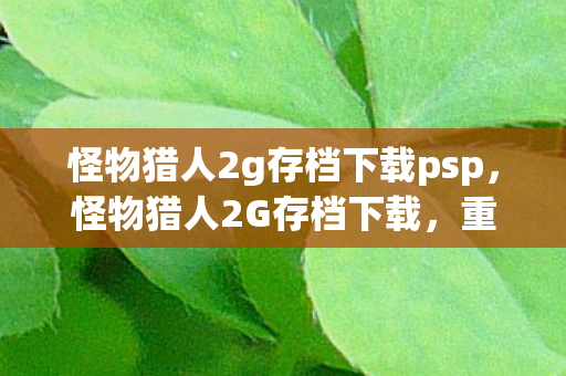 怪物猎人2g存档下载psp图片