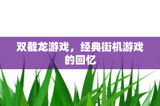 经典街机游戏的回忆图片