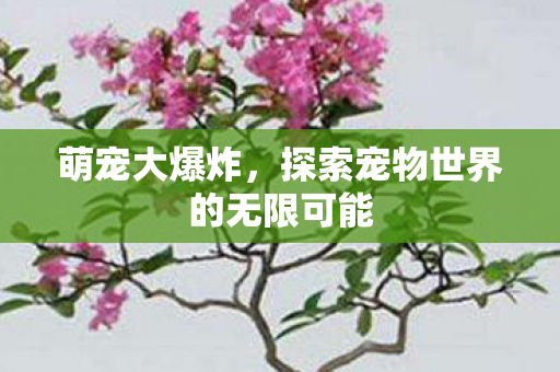 探索宠物世界的无限可能图片