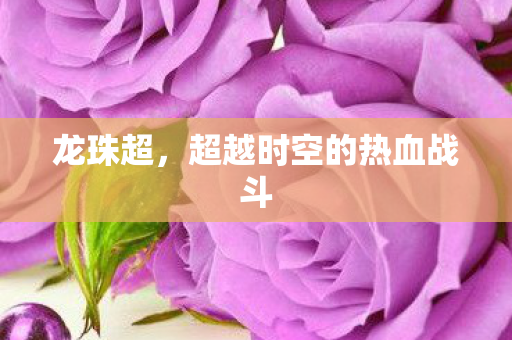 超越时空的热血战斗图片