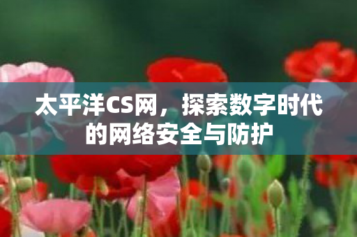 探索数字时代的网络安全与防护图片