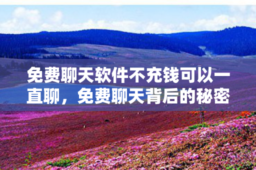 探索免费聊天应用背后的商业模式与隐私保护图片