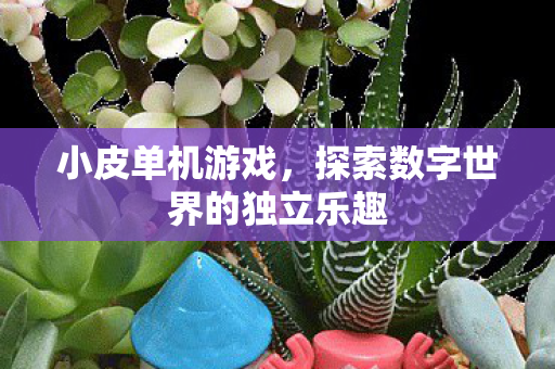 探索数字世界的独立乐趣图片