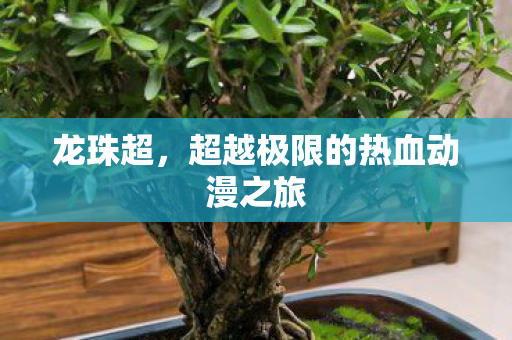 超越极限的热血动漫之旅图片