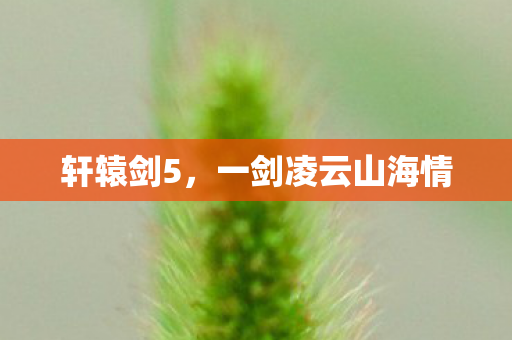 一剑凌云山海情图片