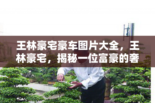 揭秘一位富豪的奢华生活图片