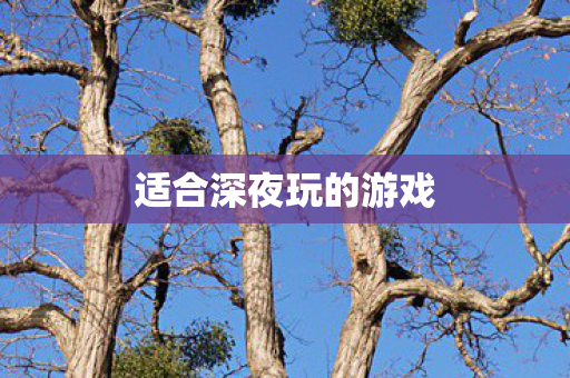 适合深夜玩的游戏图片