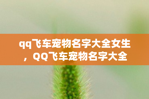 qq飞车宠物名字大全女生图片