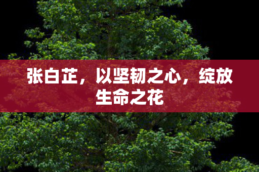 绽放生命之花图片