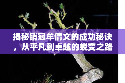 揭秘销冠牟倩文的成功秘诀，从平凡到卓越的蜕变之路