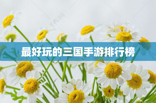 最好玩的三国手游排行榜