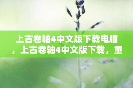 上古卷轴4中文版下载电脑，上古卷轴4中文版下载，重温经典RPG的奇幻之旅