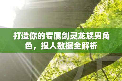 打造你的专属剑灵龙族男角色图片