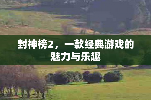 一款经典游戏的魅力与乐趣图片