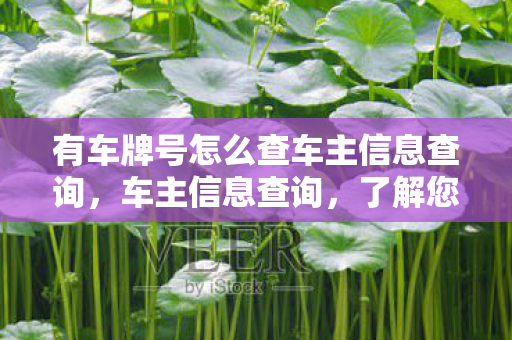 有车牌号怎么查车主信息查询,车主信息查询,了解您的车辆所有权信息 有车牌号怎么查车主信息查询,车主信息查询,了解您的车辆所有权信息