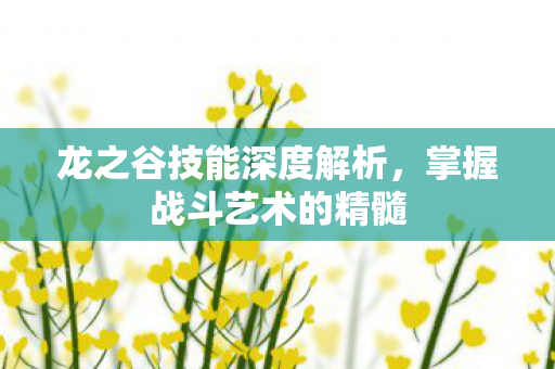 龙之谷技能深度解析，掌握战斗艺术的精髓