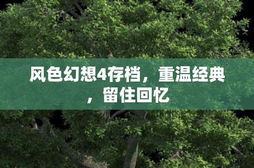 风色幻想4存档，重温经典，留住回忆