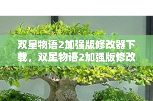 双星物语2加强版修改器下载，双星物语2加强版修改器，解锁无限可能的冒险之旅