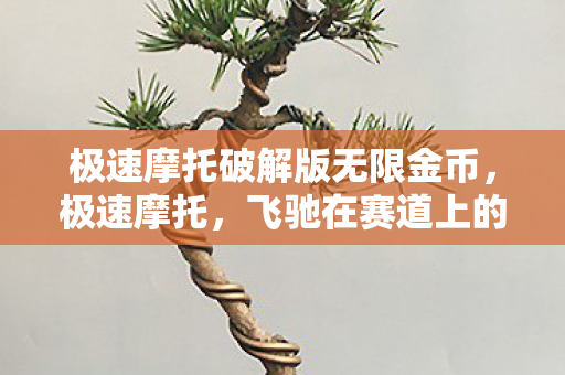 极速摩托破解版无限金币,极速摩托,飞驰在赛道上的激情与梦想 极速摩托破解版无限金币,极速摩托,飞驰在赛道上的激情与梦想