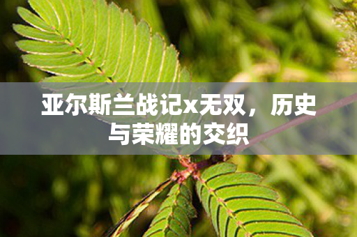 亚尔斯兰战记x无双，历史与荣耀的交织