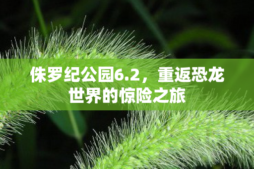 侏罗纪公园6.2，重返恐龙世界的惊险之旅