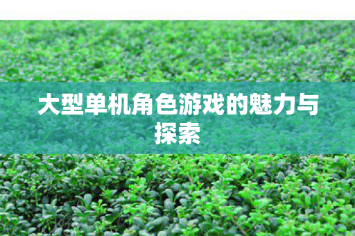 大型单机角色游戏的魅力与探索