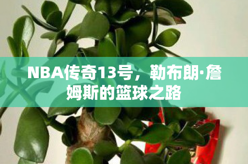 NBA传奇13号，勒布朗·詹姆斯的篮球之路