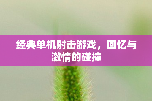 经典单机射击游戏图片