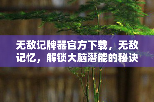 无敌记牌器官方下载，无敌记忆，解锁大脑潜能的秘诀