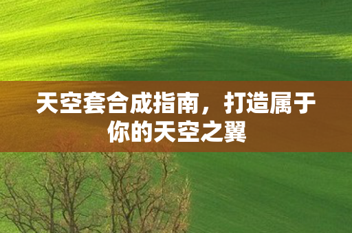 天空套合成指南，打造属于你的天空之翼