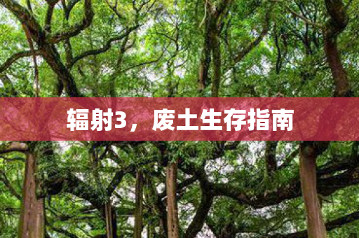 辐射3，废土生存指南