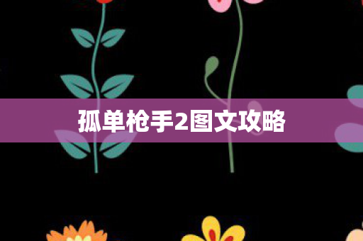 孤单枪手2图文攻略