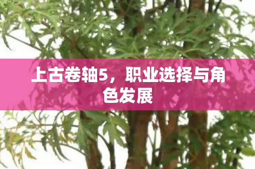 上古卷轴5，职业选择与角色发展