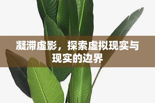 凝滞虚影，探索虚拟现实与现实的边界