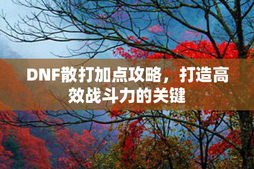 DNF散打加点攻略，打造高效战斗力的关键