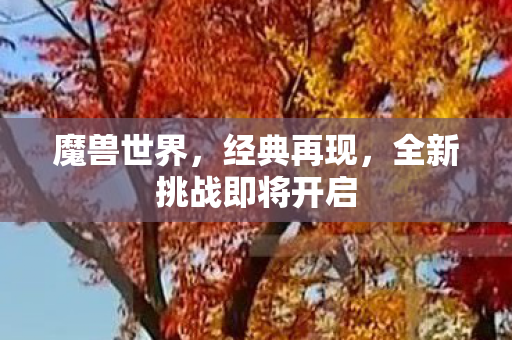 魔兽世界，经典再现，全新挑战即将开启