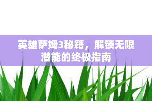 英雄萨姆3秘籍，解锁无限潜能的终极指南