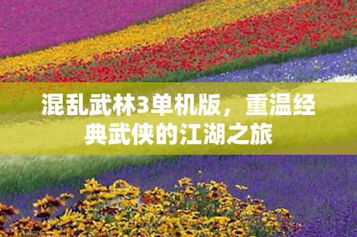 混乱武林3单机版，重温经典武侠的江湖之旅