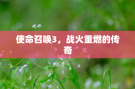 使命召唤3，战火重燃的传奇