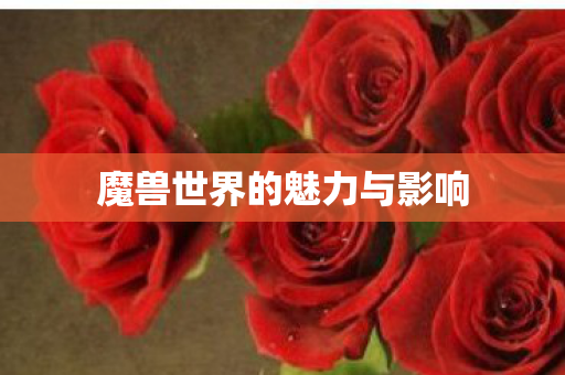 魔兽世界的魅力与影响