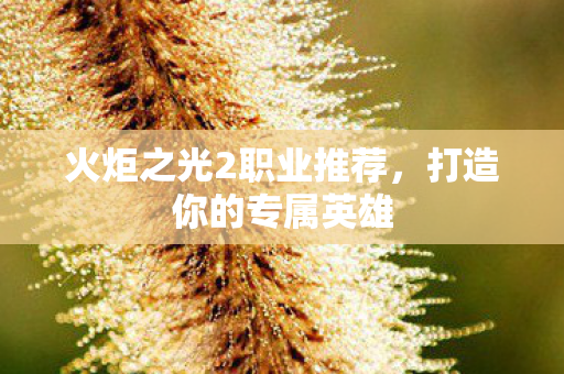 火炬之光2职业推荐，打造你的专属英雄